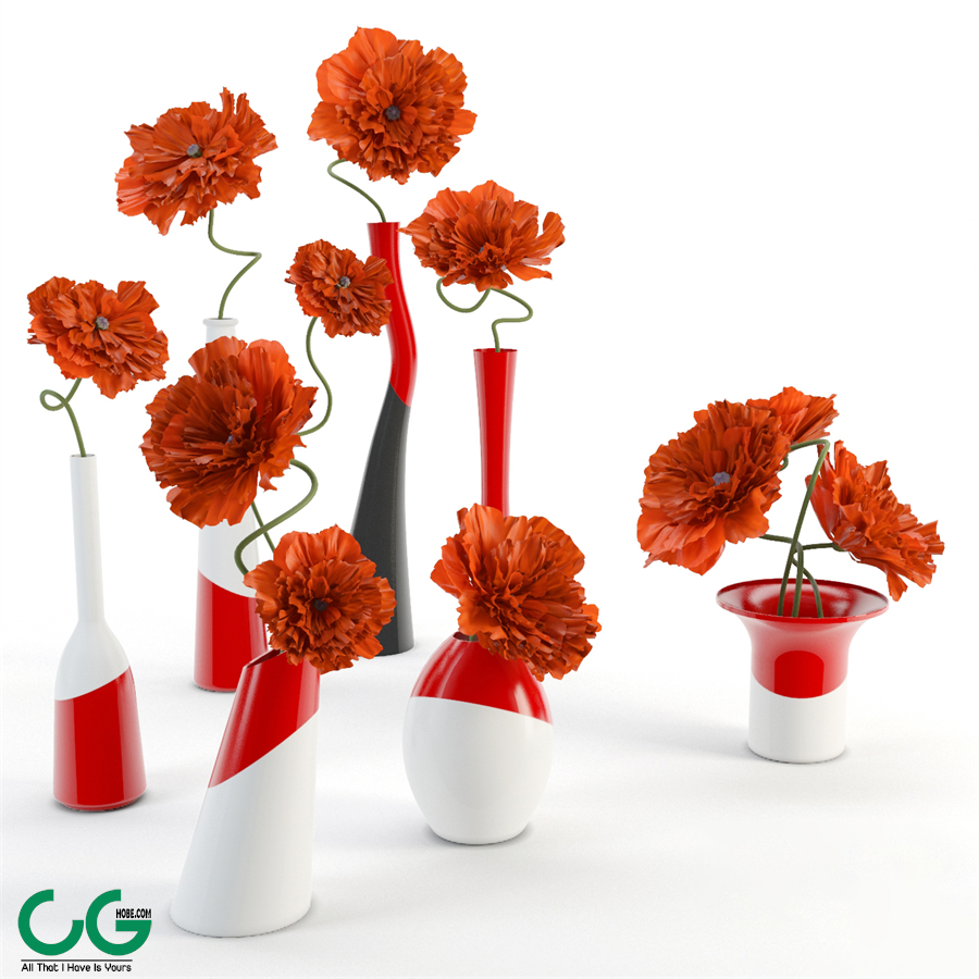 Poppies